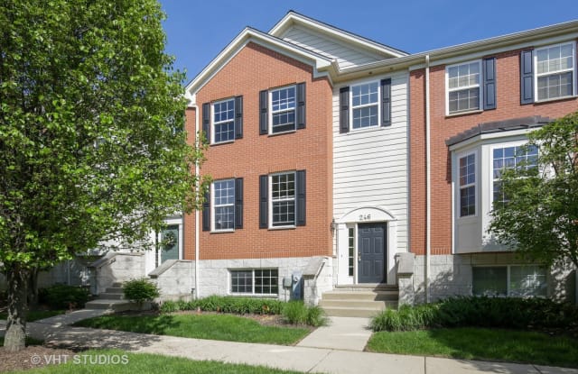 246 Comstock Drive - 246 Comstock Drive, Elgin, IL 60124