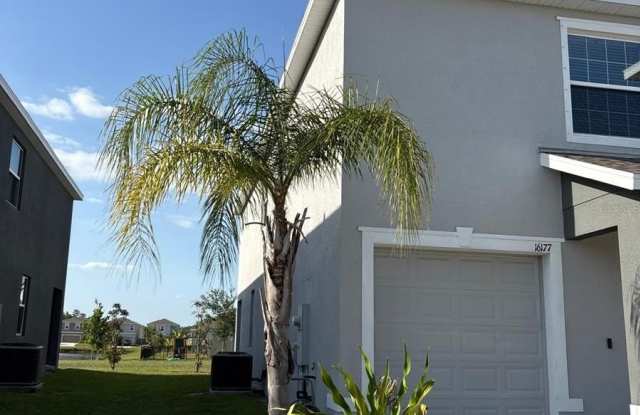 16177 GLOWING GROVE AVENUE - 16177 Glowing Grove Avenue, Pasco County, FL 33556