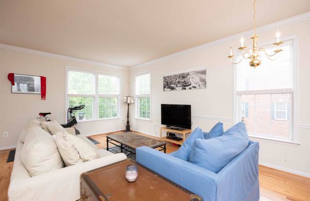 9817 Darcy Forest Drive Gallery 2