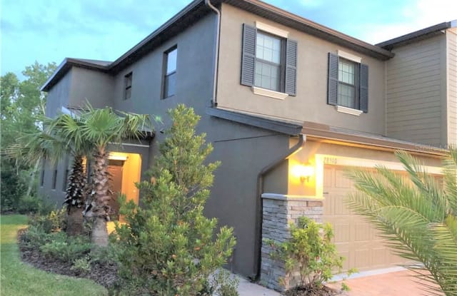28510 TRANQUIL LAKE CIRCLE - 28510 Tranquil Lake Cir, Wesley Chapel, FL 33543