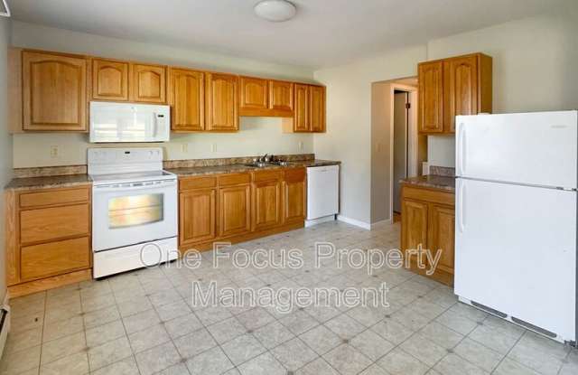 329 Chestnut Street - 329 Chestnut Street, Williamsport, PA 17701