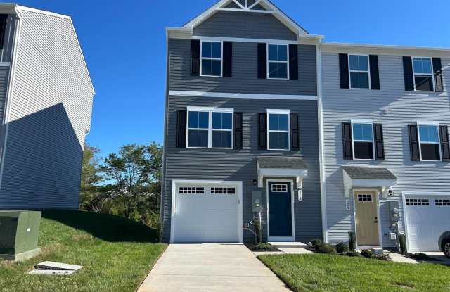 310 SOPHIE Street - 310 Sophie Street, Strasburg, VA 22657