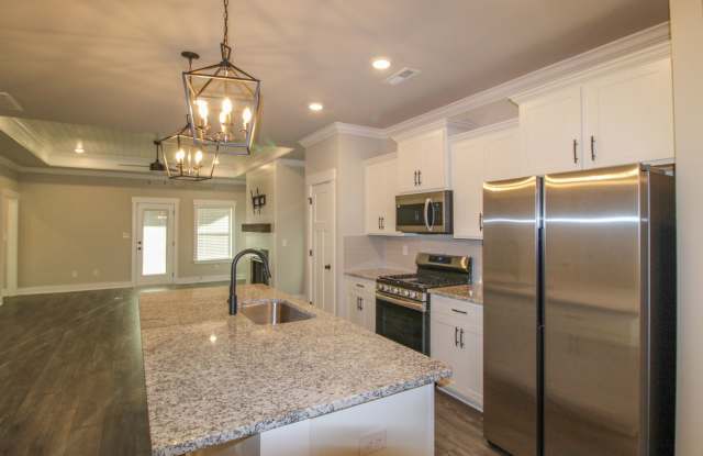 LIKE NEW Home in Natures Cove West in Athens City! photos photos