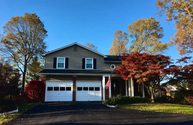 13106 CORALBERRY DRIVE - 13106 Coralberry Drive, Franklin Farm, VA 22033