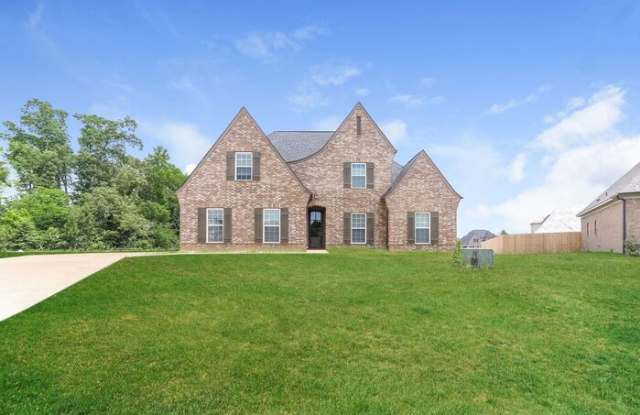 8630 Ainsley cove Gallery 2
