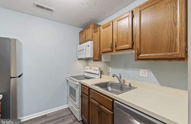 23250 CHESTNUT OAK Court Gallery 4