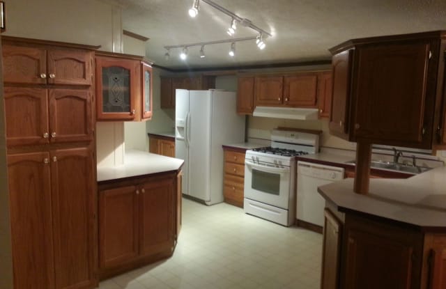 321 East Alton Street - 321 East Alton Street, Marine, IL 62061
