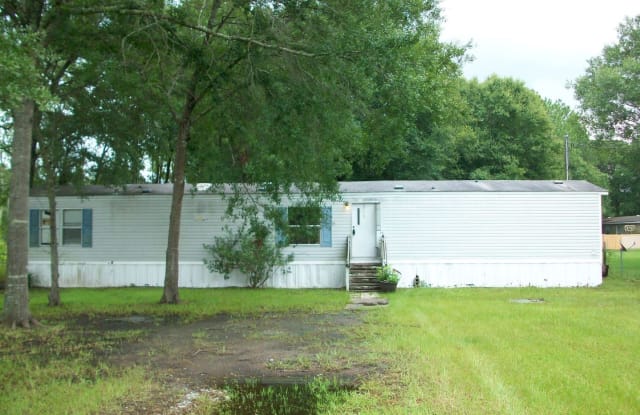 195 Higginbotham St. - 195 Higginbotham Street, Baldwin, FL 32234