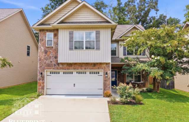 Beautiful Craftsman-style home in established Hardin Valley subdivision available 10/1!! Gallery 1