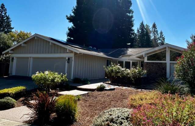 Gorgeous Westside Danville Home! Gallery 3