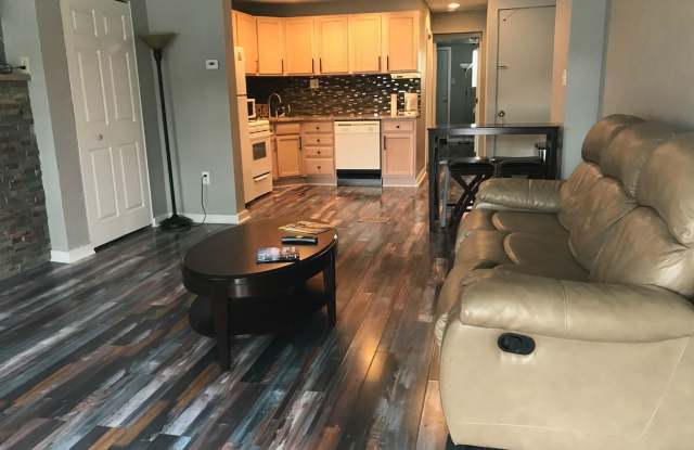 Modern 3 bed, 2 bath, south side flats rental - 96 South 26th Street, Pittsburgh, PA 15203