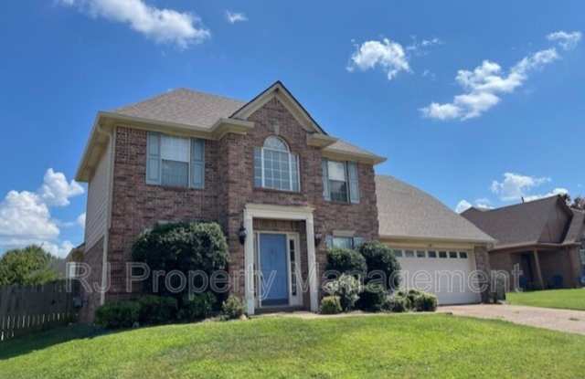 8297 Red Creek Dr photos photos