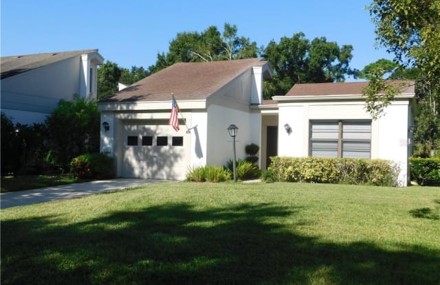 10 LISA LANE - 10 Lisa Lane, East Lake, FL 34677