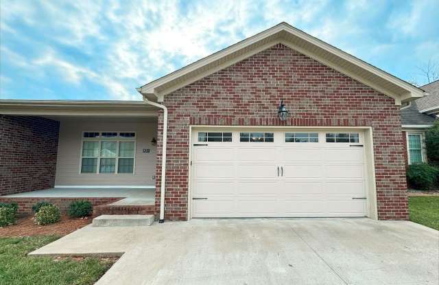 823 Denzil Avenue - 823 Denzil Avenue, Bowling Green, KY 42104