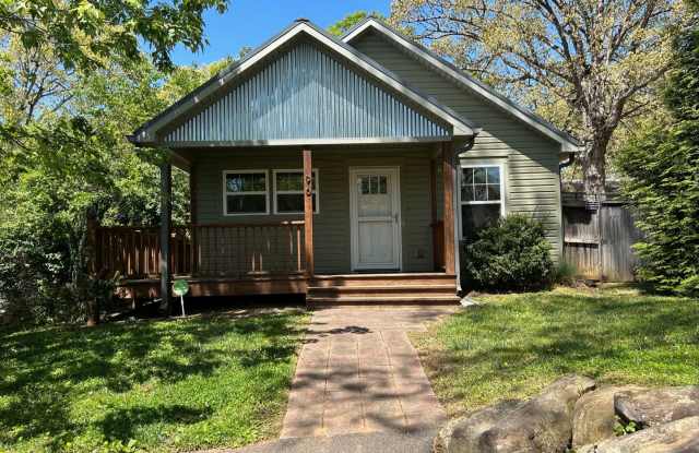 East Asheville - Contemporary Bungalow photos photos