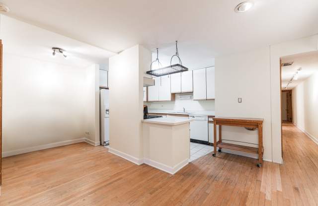 1320 N Astor Street Gallery 3