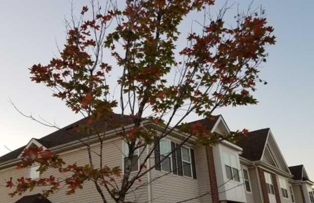 8 CLIFFORD CIR - 8 Clifford Cir, Weston, NJ 08873