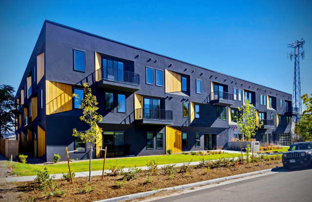 Treeline photos photos Treeline photos photos