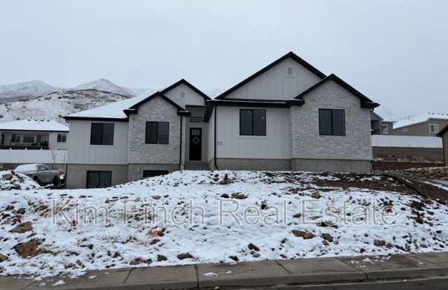 202 North 910 East basement - 202 North 910 East, Santaquin, UT 84655