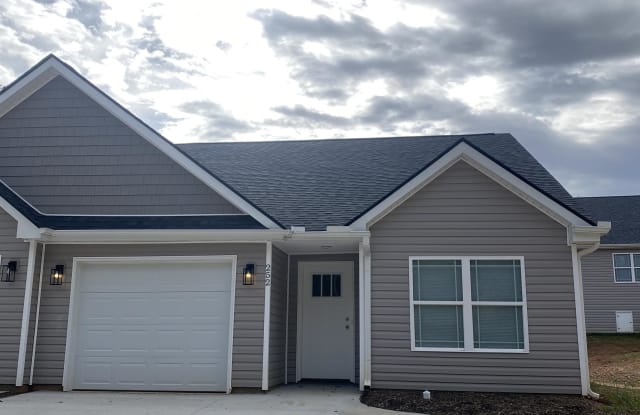 252 YORK ST - 252 South 1516, Chesnee, SC 29323