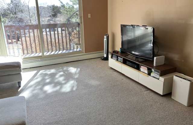 Fully Furnished 2BR Condo in Los Arroyos Compound – Internet Included, Utilities up to $100/mo Gallery 1