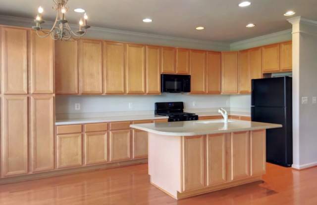 9031 RIBBON FALLS LOOP Gallery 4