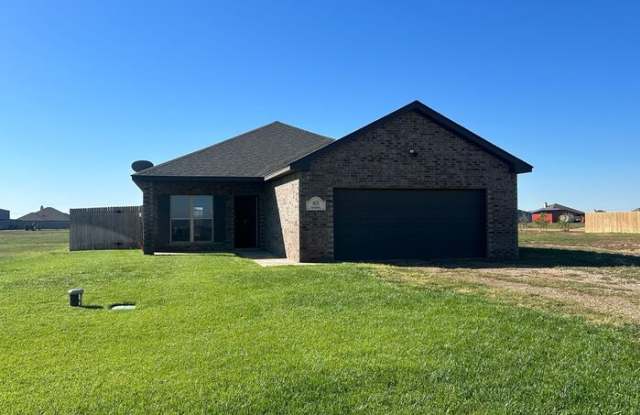 9635 Mossberg Street - 9635 Mossberg Street, Randall County, TX 79015