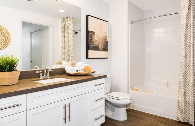 Apex Laguna Niguel Gallery 4