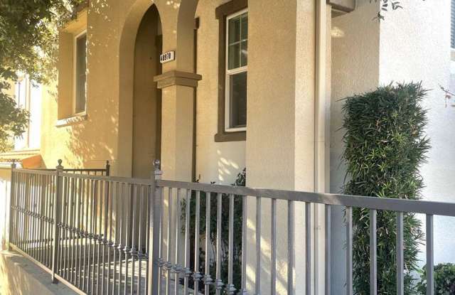 48970 Lady Fern Common Gallery 2