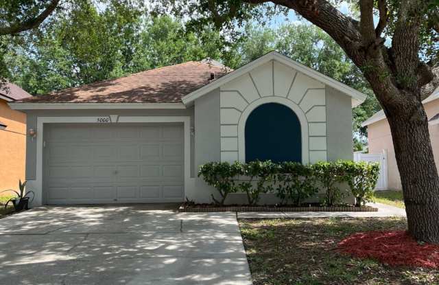 5000 Anclote River Street, Wesley Chapel, Florida - 5000 Anclote River Street, Pasco County, FL 33545 5000 Anclote River Street, Wesley Chapel, Florida - 5000 Anclote River Street, Pasco County, FL 33545