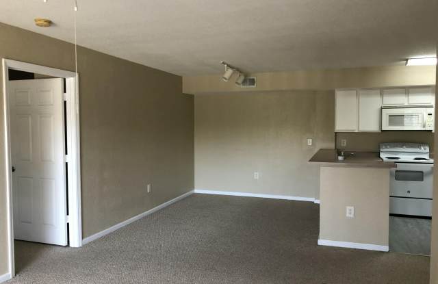 181 SW Palm Drive Gallery 4