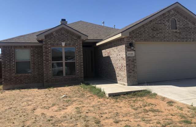 1026 E. 93rd - 1026 East 93rd Street, Ector County, TX 79765