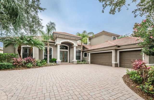 1109 Toscano Dr - 1109 Toscano Drive, Trinity, FL 34655