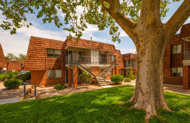 Meadowlark photos photos