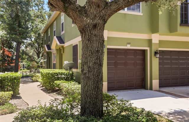 3310 PINE OAK Trail Gallery 4