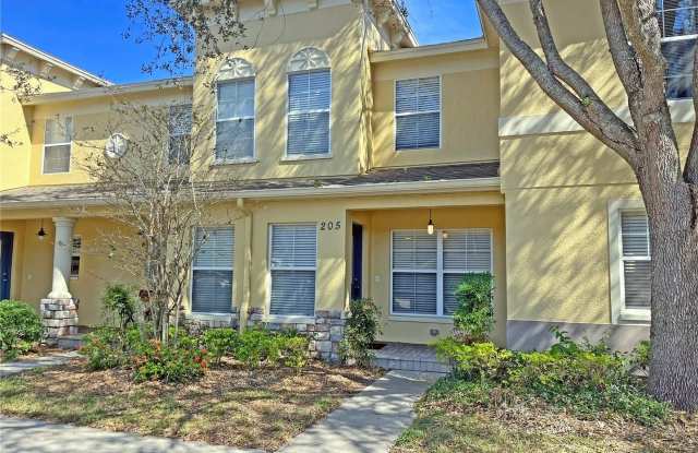 205 Penmark Stone Place - 205 Penmark Stone Place, Valrico, FL 33594