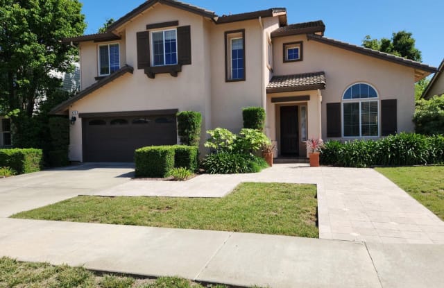 476 Richdale Ct - 476 Richdale Court, Brentwood, CA 94513