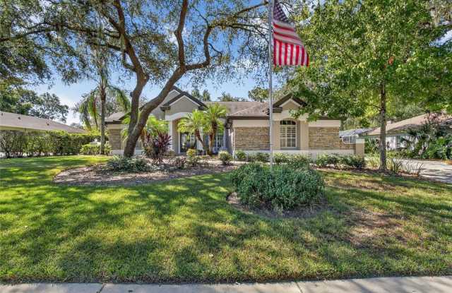 5816 AUDUBON MANOR BOULEVARD - 5816 Audubon Manor Boulevard, Fish Hawk, FL 33547