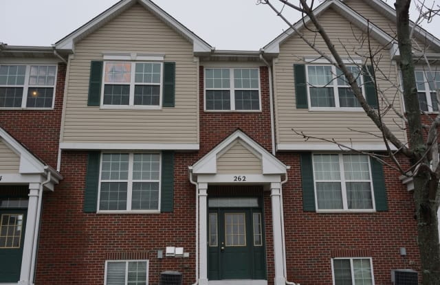 262 S Alder Creek Drive - 262 South Alder Creek Drive, Romeoville, IL 60446