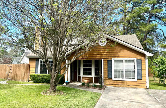Sandfly photos photos