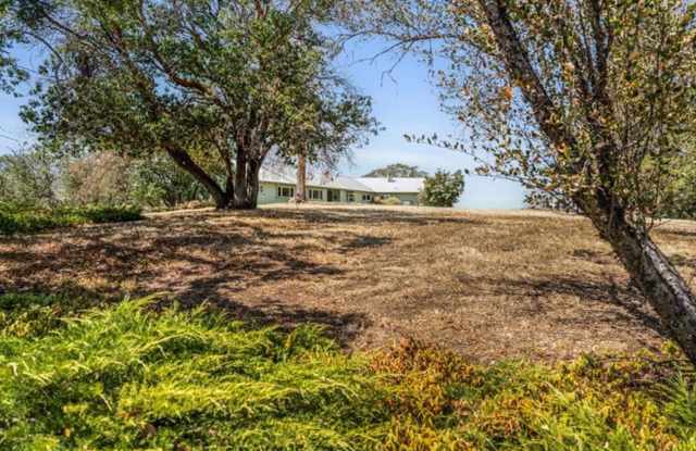 Ranch style 3 Bed 3 Bath home on 87 acres Gallery 3