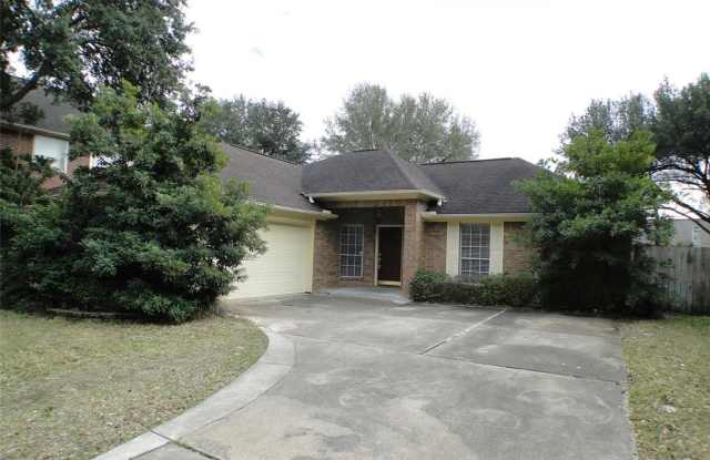 22807 Red River Drive - 22807 Red River Drive, Harris County, TX 77450