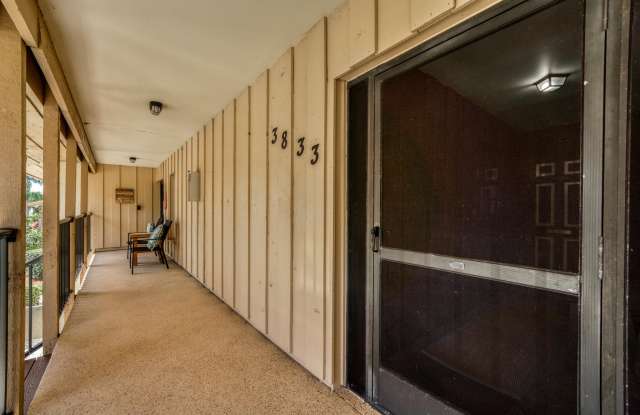 3833 Edgewater Drive Gallery 4