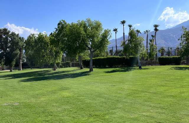 North Palm Springs Beauty photos photos