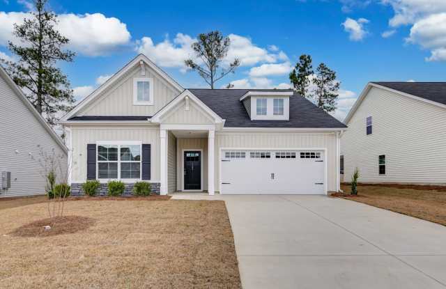 Welcome to 722 House Finch Run, nestled in the newly developed Nightingale Hill neighborhood! photos photos