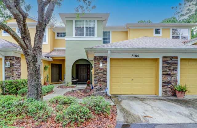 8180 STONE VIEW DRIVE - 8180 Stone View Drive, Tampa, FL 33647