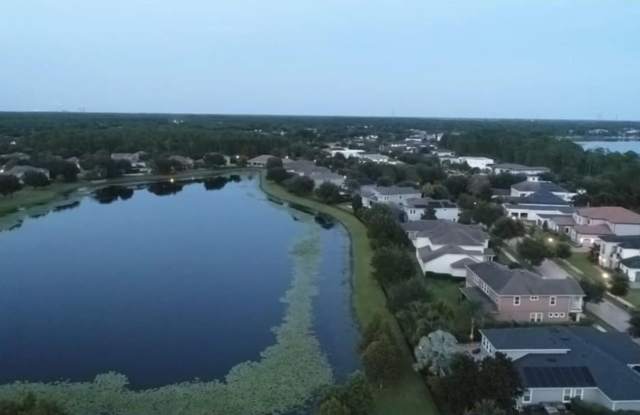 Beautiful Lake Nona Townhome Gallery 3