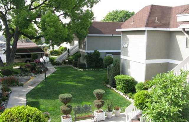 English Oaks photos photos