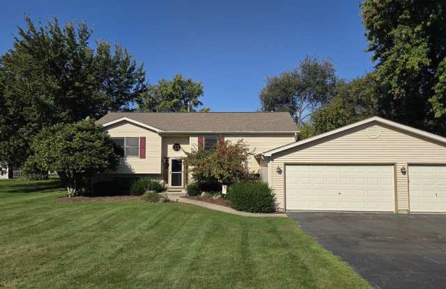 3611 Fawn photos photos 3611 Fawn photos photos