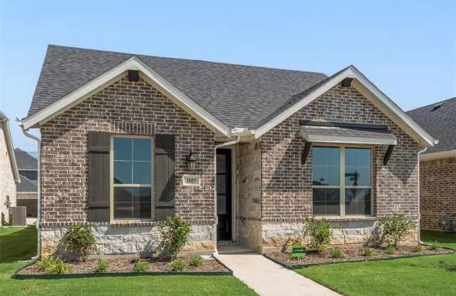 3105 Buckeye Street - 3105 Buckeye Street, Collin County, TX 75009